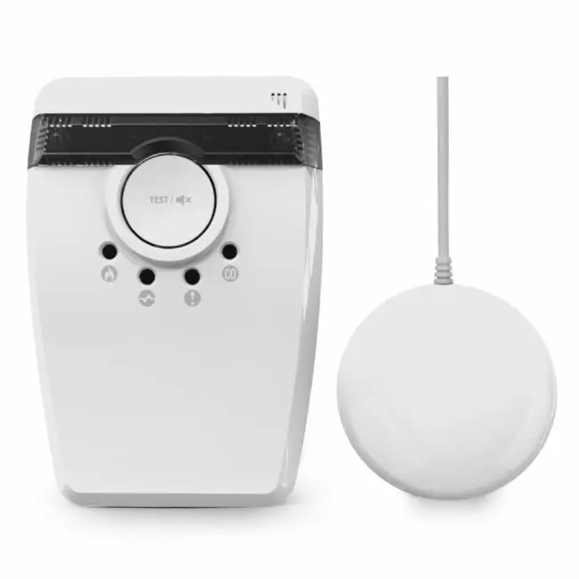 FS1552W2-T white carbon monoxide detector with a round wired sensor pad beside it.