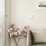 Pink flowers beside grey sofa and FS1524W2-T switch on a light-coloured wall.