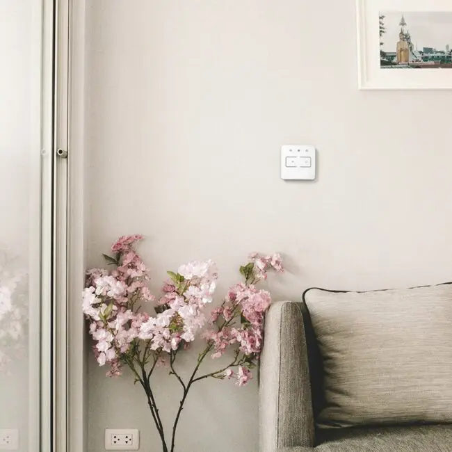 Pink flowers beside grey sofa and FS1524W2-T switch on a light-coloured wall.