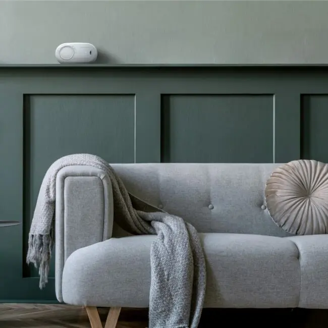 Light grey FA3820-EUX10 sofa with cushion, blanket, and speaker by a green wall.
