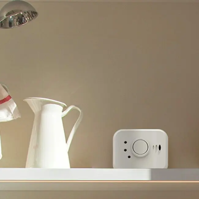 FP1820W2-R gas detector on a kitchen shelf beside a white jug and towel.