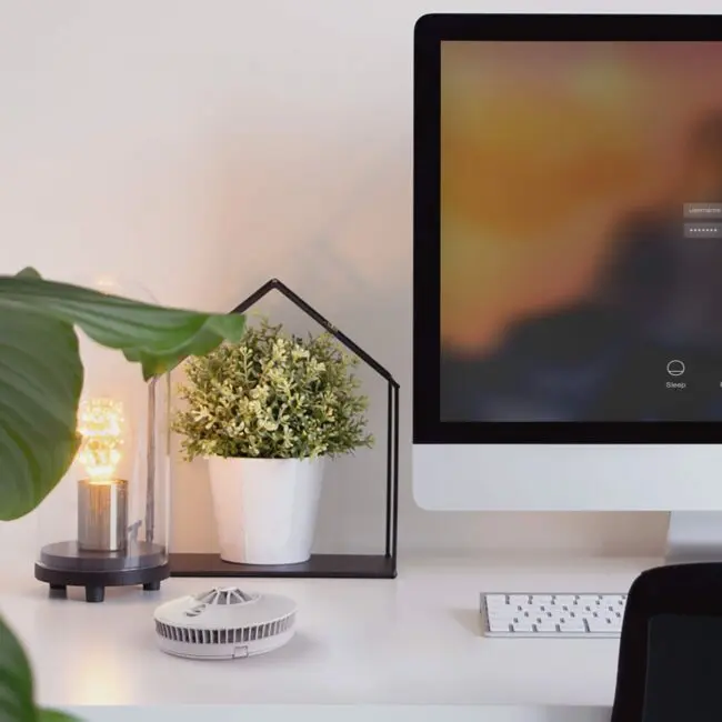 Modern desk with FP1740W2-R monitor, lamp, potted plant, and keyboard in a bright workspace.