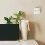 A laptop, plant, and FS1524W2-T vase on a desk with a light switch on the beige wall.