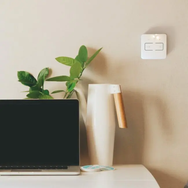 A laptop, plant, and FS1524W2-T vase on a desk with a light switch on the beige wall.