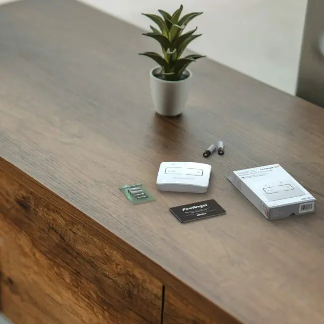FP1014W2-R smart control switch kit and a plant on a wooden cupboard.