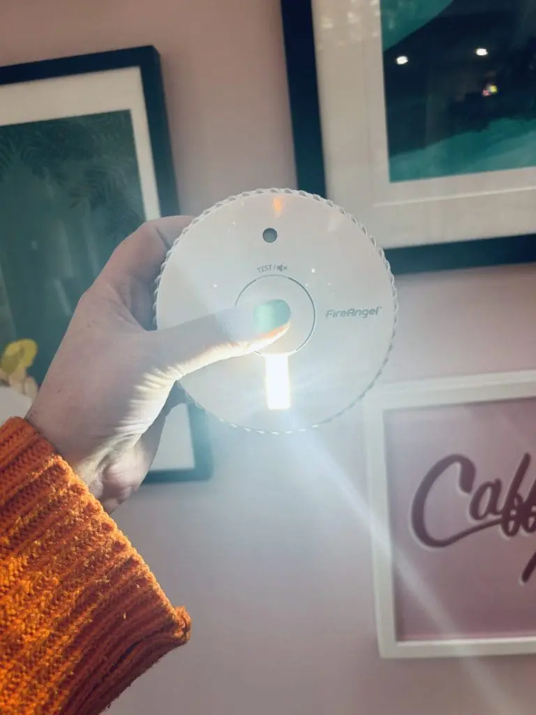 A hand holds a lit smoke alarm, illustrating smoke alarms for deaf people near wall art.