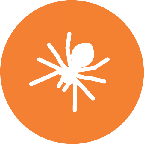 Bug mesh  icon