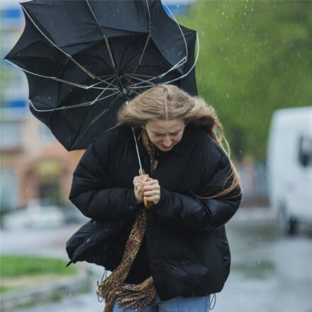 Storm warning: your full guide to keeping... image