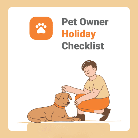 Pet holiday safety checklist: how to travel... image